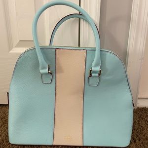 Frances Valentine Light Blue Leather Purse NWT